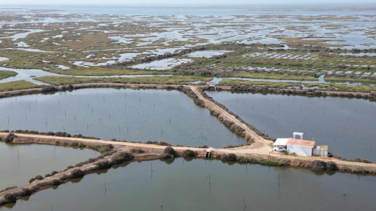 Herdade Dos Salgados Do Fialho FAO Exterior foto