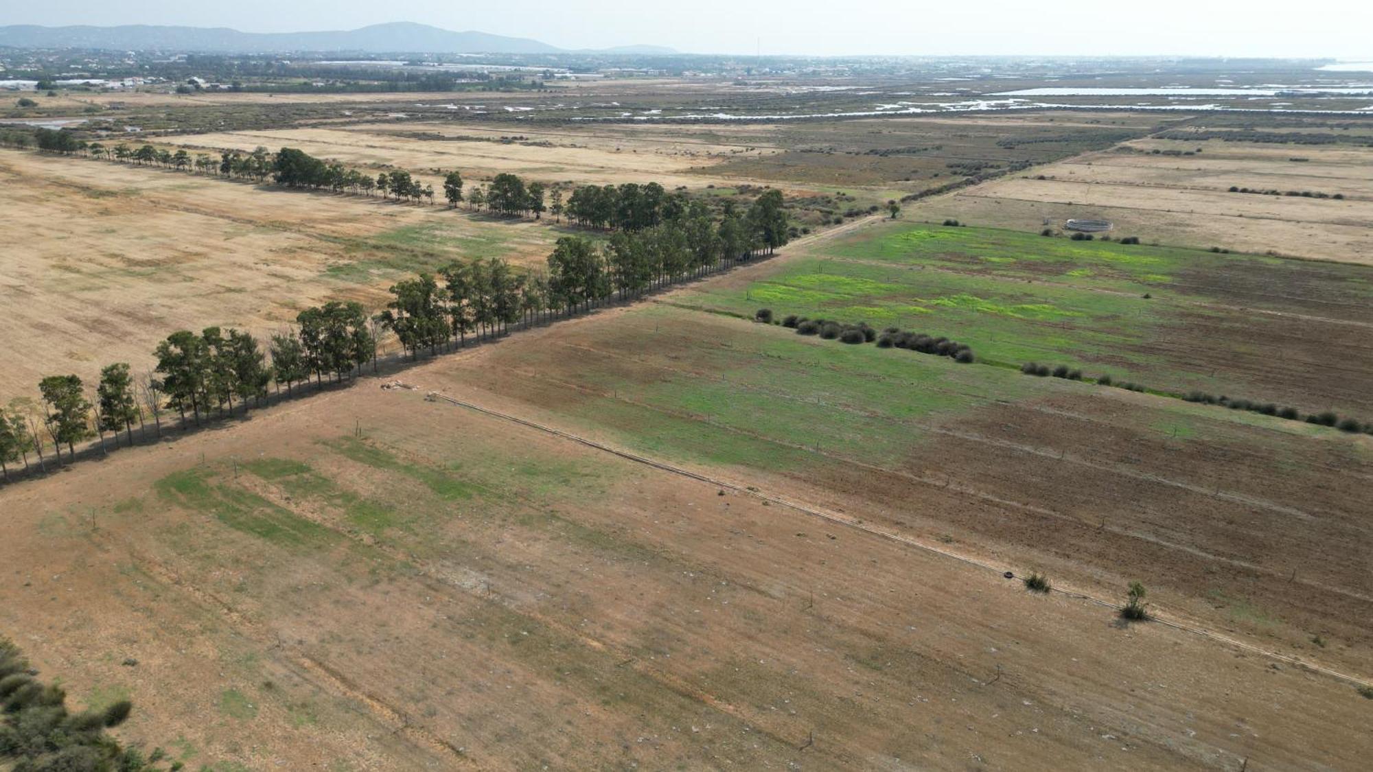 Herdade Dos Salgados Do Fialho FAO Exterior foto